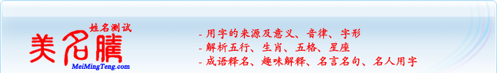 用字的來源及意義、音律、字形；五行、生肖、五格、星座；成語釋名、趣味解釋、名言名句、名人用字
