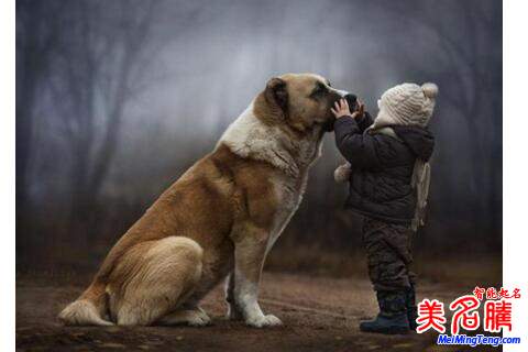 生肖狗穆姓女寶寶專(zhuān)屬取名技巧