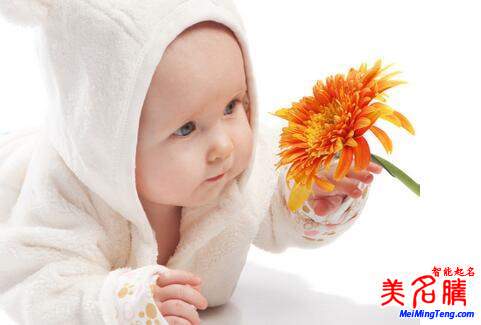 2020時(shí)尚好聽(tīng)的女寶寶名字大全
