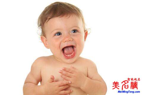 楊姓起名，楊姓屬狗男寶寶起名大全