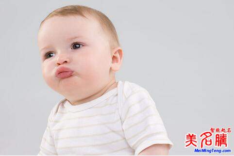 楊姓起名，楊姓屬狗男寶寶起名大全