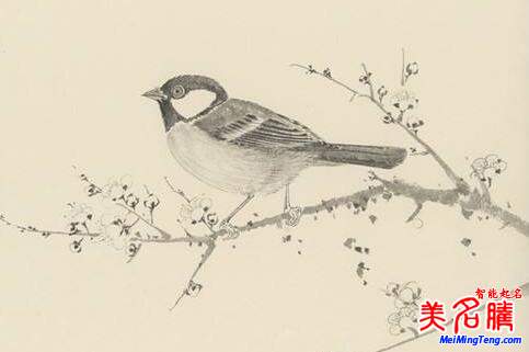 2018梅姓寶寶最詩意、最不凡的名字大全