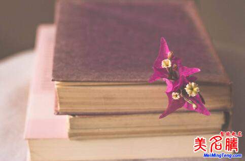賞心悅目的游戲昵稱(chēng)大全