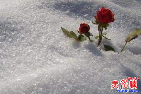 賞心悅目的游戲昵稱(chēng)大全